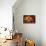 Autumn Joy-Philippe Sainte-Laudy-Mounted Photographic Print displayed on a wall
