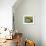 Autumn Joy-Ailian Price-Framed Premium Giclee Print displayed on a wall