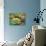 Autumn Joy-Ailian Price-Premium Giclee Print displayed on a wall
