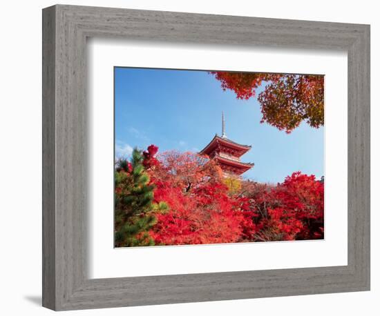 Autumn, Kyoto, Japan-Shin Terada-Framed Photographic Print