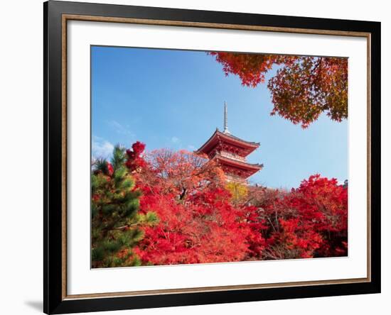 Autumn, Kyoto, Japan-Shin Terada-Framed Photographic Print