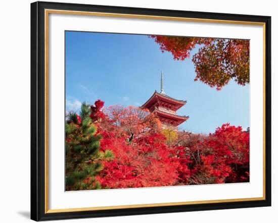 Autumn, Kyoto, Japan-Shin Terada-Framed Photographic Print