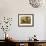 Autumn Labrador-Tina Nichols-Framed Giclee Print displayed on a wall