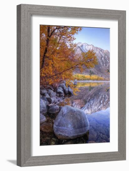 Autumn Landscape at June Lake-Vincent James-Framed Photographic Print