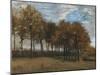 Autumn Landscape, C.1885-Vincent van Gogh-Mounted Giclee Print