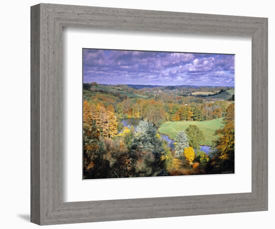 Autumn Landscape, Surrey, England-Jon Arnold-Framed Photographic Print