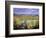 Autumn Landscape, Surrey, England-Jon Arnold-Framed Photographic Print