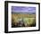 Autumn Landscape, Surrey, England-Jon Arnold-Framed Photographic Print