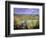 Autumn Landscape, Surrey, England-Jon Arnold-Framed Photographic Print