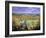 Autumn Landscape, Surrey, England-Jon Arnold-Framed Photographic Print