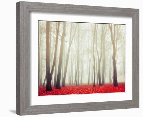 Autumn Landscape with Tall Bare Trees and Red Dry Fallen Leaves Covering the Ground-Marina Zezelina-Framed Photographic Print