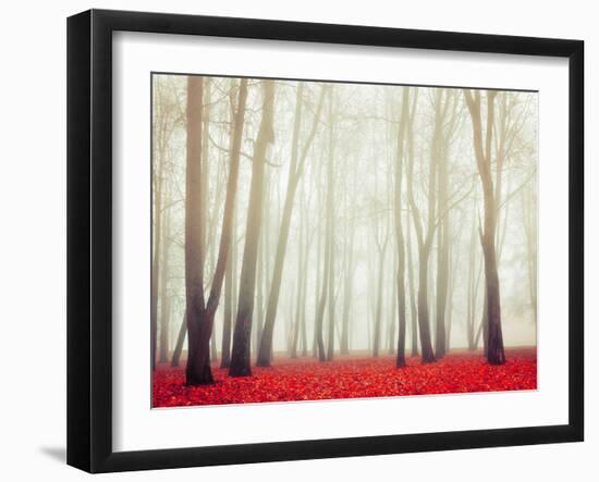 Autumn Landscape with Tall Bare Trees and Red Dry Fallen Leaves Covering the Ground-Marina Zezelina-Framed Photographic Print