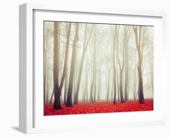 Autumn Landscape with Tall Bare Trees and Red Dry Fallen Leaves Covering the Ground-Marina Zezelina-Framed Photographic Print