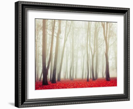 Autumn Landscape with Tall Bare Trees and Red Dry Fallen Leaves Covering the Ground-Marina Zezelina-Framed Photographic Print