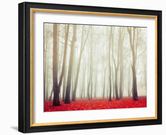 Autumn Landscape with Tall Bare Trees and Red Dry Fallen Leaves Covering the Ground-Marina Zezelina-Framed Photographic Print