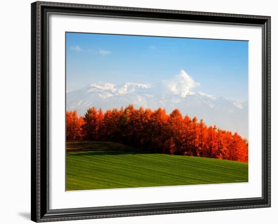 Autumn Landscape-null-Framed Photographic Print