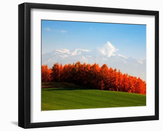 Autumn Landscape-null-Framed Photographic Print