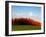 Autumn Landscape-null-Framed Photographic Print