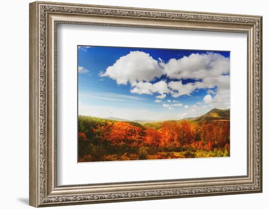 Autumn landscape-Philippe Sainte-Laudy-Framed Photographic Print