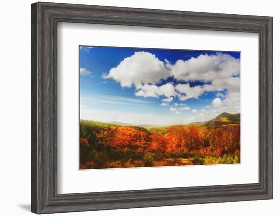 Autumn landscape-Philippe Sainte-Laudy-Framed Photographic Print