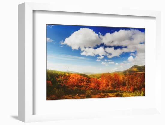 Autumn landscape-Philippe Sainte-Laudy-Framed Photographic Print