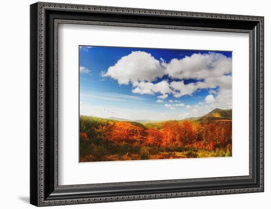 Autumn landscape-Philippe Sainte-Laudy-Framed Photographic Print