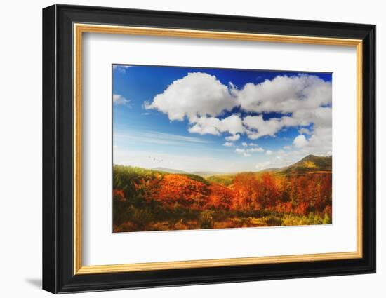 Autumn landscape-Philippe Sainte-Laudy-Framed Photographic Print