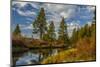 Autumn, Lava Island Falls Trail, Deschutes River, Deschutes National Forest, Oregon, USA-Michel Hersen-Mounted Photographic Print