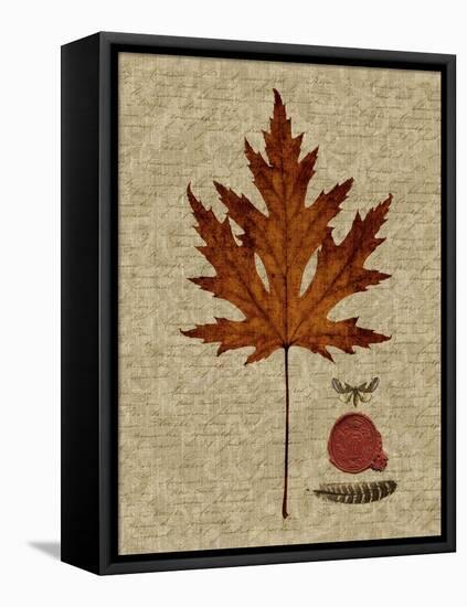 Autumn Leaf I-Sandy Lloyd-Framed Stretched Canvas