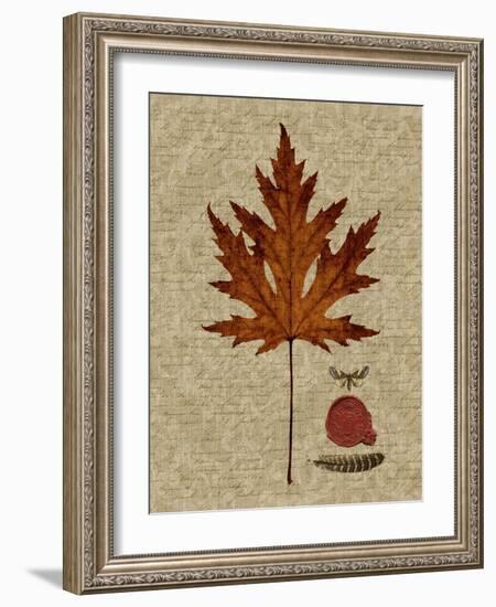 Autumn Leaf I-Sandy Lloyd-Framed Art Print