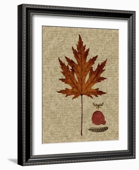 Autumn Leaf I-Sandy Lloyd-Framed Art Print