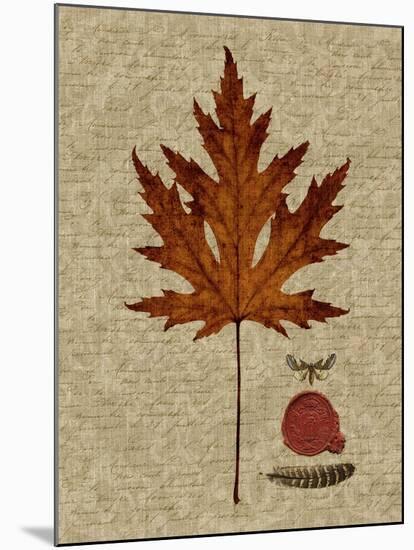 Autumn Leaf I-Sandy Lloyd-Mounted Art Print