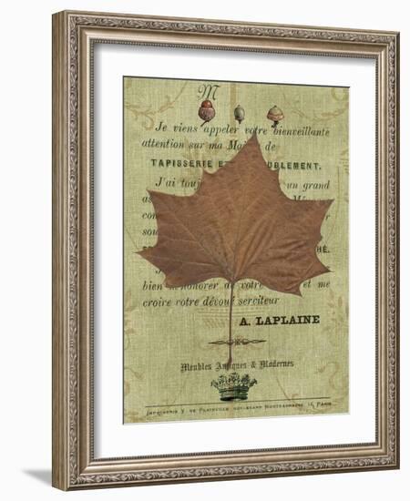 Autumn Leaf II-Sandy Lloyd-Framed Art Print
