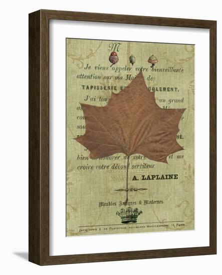 Autumn Leaf II-Sandy Lloyd-Framed Art Print