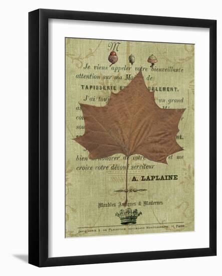 Autumn Leaf II-Sandy Lloyd-Framed Art Print