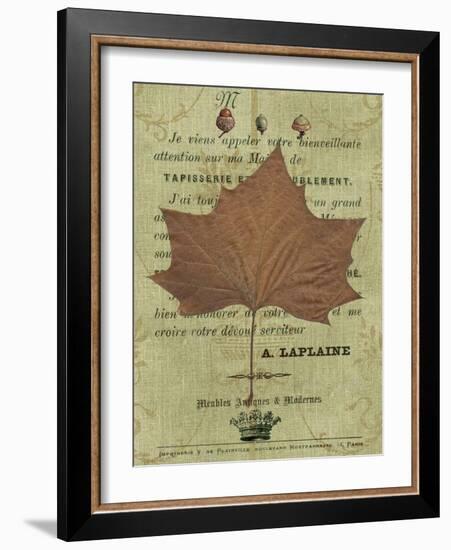 Autumn Leaf II-Sandy Lloyd-Framed Art Print