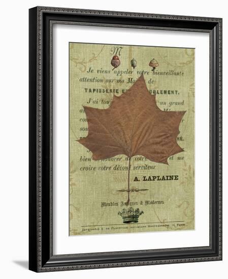 Autumn Leaf II-Sandy Lloyd-Framed Art Print