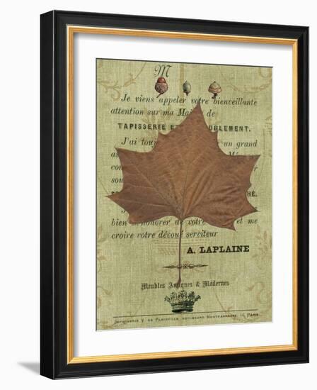 Autumn Leaf II-Sandy Lloyd-Framed Art Print