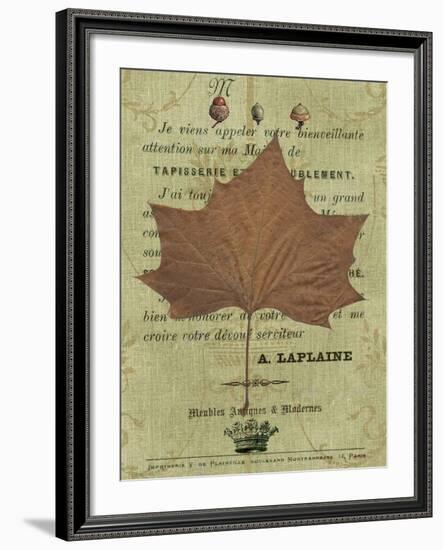 Autumn Leaf II-Sandy Lloyd-Framed Art Print