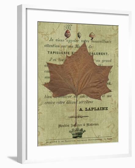 Autumn Leaf II-Sandy Lloyd-Framed Art Print