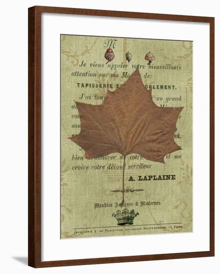 Autumn Leaf II-Sandy Lloyd-Framed Art Print