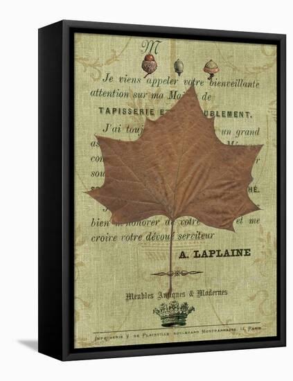 Autumn Leaf II-Sandy Lloyd-Framed Stretched Canvas