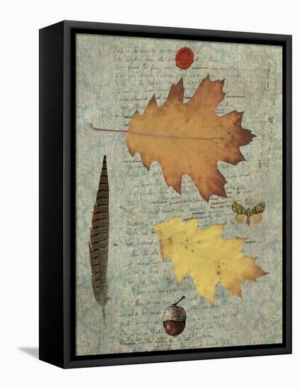 Autumn Leaf III-Sandy Lloyd-Framed Stretched Canvas