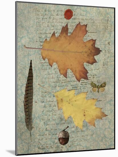 Autumn Leaf III-Sandy Lloyd-Mounted Art Print