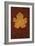 Autumn Leaf On Rust-Den Reader-Framed Photographic Print