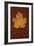 Autumn Leaf On Rust-Den Reader-Framed Photographic Print