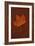 Autumn Leaf On Rust-Den Reader-Framed Photographic Print