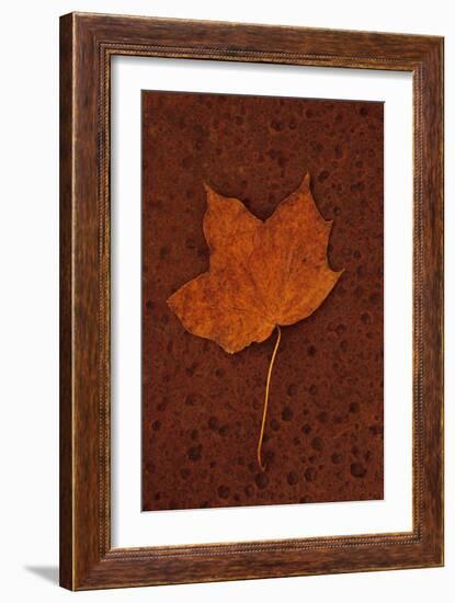 Autumn Leaf On Rust-Den Reader-Framed Photographic Print