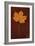 Autumn Leaf On Rust-Den Reader-Framed Photographic Print