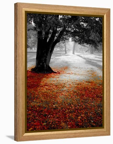 Autumn Leafs-null-Framed Premier Image Canvas